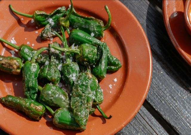 Spanish Padrón Peppers with Sea Salt